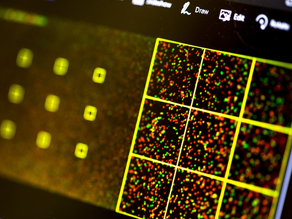 合成DNA序列可被制成木马感染计算机