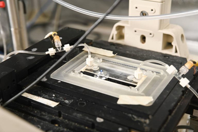 免磁珠的电流体动力学DNA纯化获NSF超百万美元资助